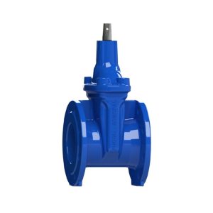 Robinet sertar pană corp plat cauciucat (certificare GSK) – Fucoli Somepal